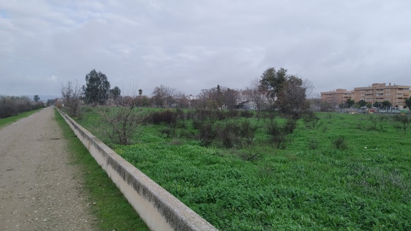 Developable land for sale in sect Plan Parcial S-1 Cordel de Ecija