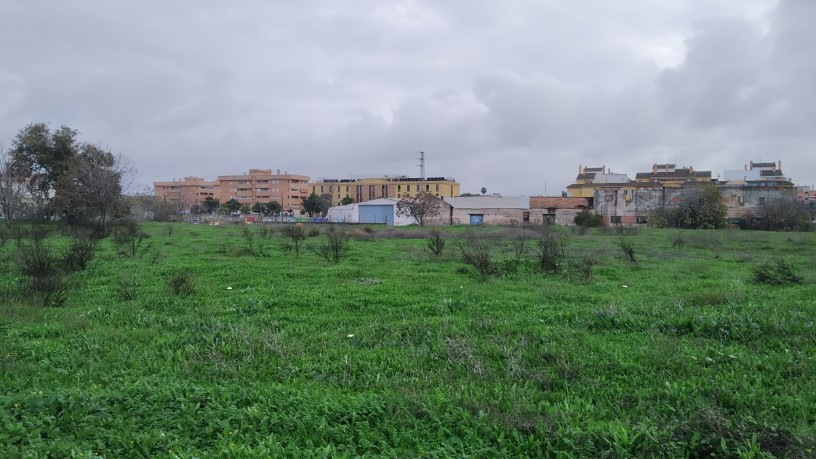 Developable land for sale in sect Plan Parcial S-1 Cordel de Ecija