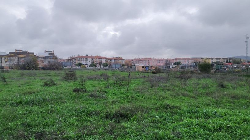 Developable land for sale in sect Plan Parcial S-1 Cordel de Ecija