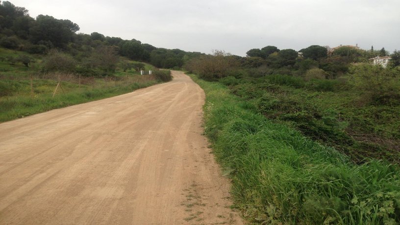 Finca rústica en venta en calle Pp Tr-2 Poligono 90, Parcela 73