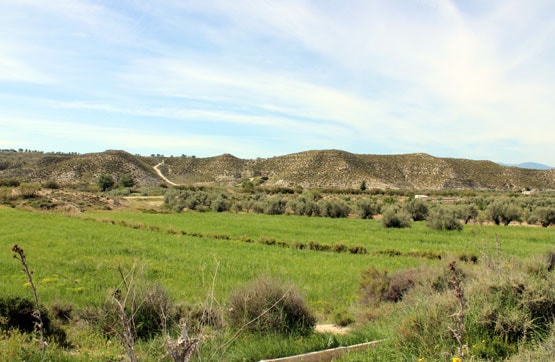 Terreno en venta en pago De Guatarreal, Lavaderas y Majada de la Umbria