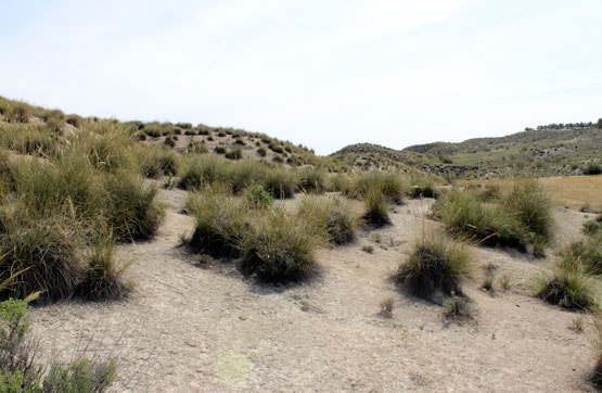 Terreno en venta en pago De Guatarreal, Lavaderas y Majada de la Umbria