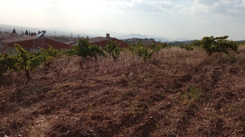 Developable land for sale in sect Sur Poligono 3 Parcela 154