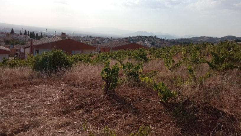 Developable land for sale in sect Sur Poligono 3 Parcela 154