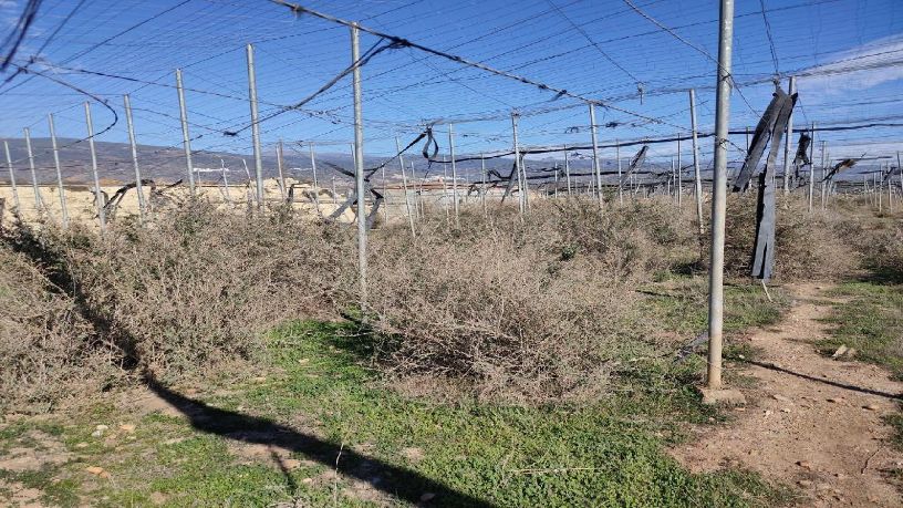 Finca rústica en venta en  Paraje Blanquizares y Atalajuelo, Poligo