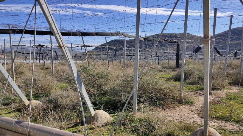 Finca rústica en venta en  Paraje Blanquizares y Atalajuelo, Poligo