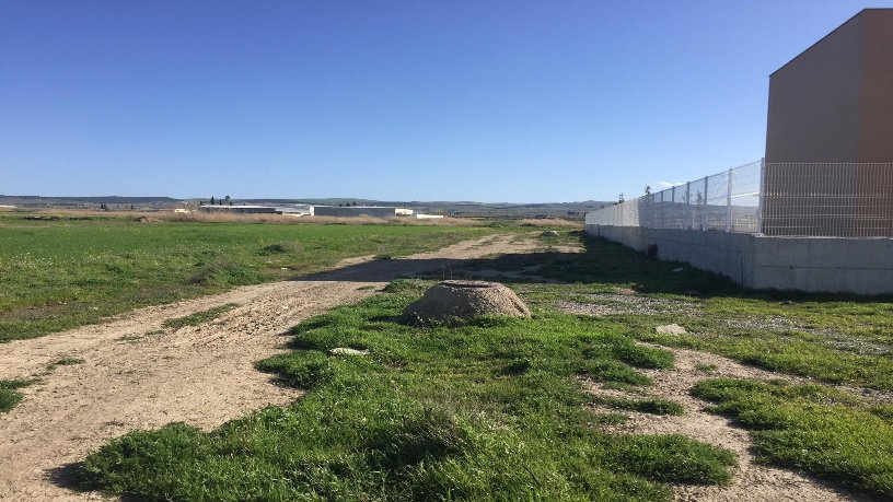 Terreno urbanizable en venta en calle Maestro Andres Ramirez