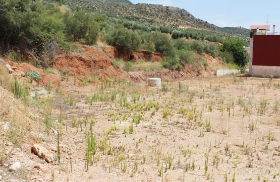 Terreno en avenida Andalucia S/n, Puerta de Segura (la), Jaén