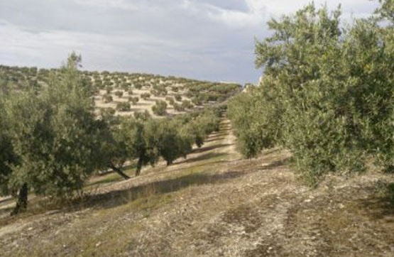 Terreno en venta en lugar Paraje Hoyuelapolg. 18