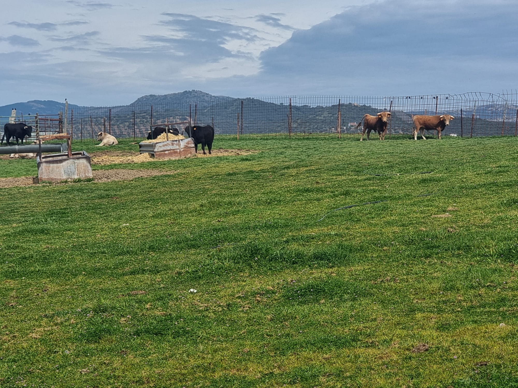 Finca rústica en venta en calle De los Bobinos
