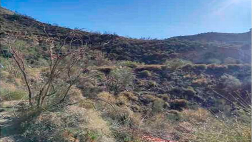 Developable land for sale in calle Cerro Lago
