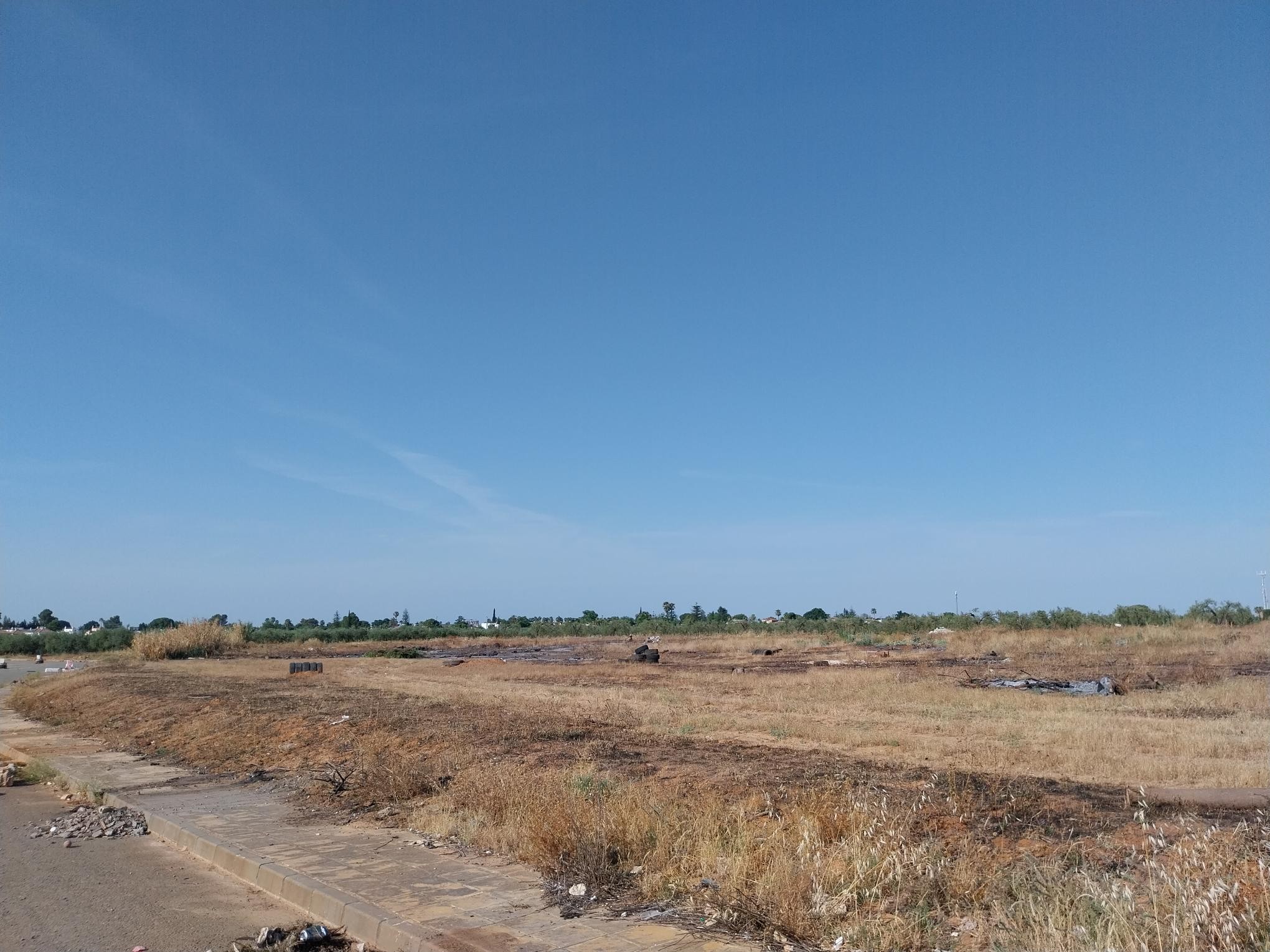 Developable land for sale in lugar De los Quemados, Parc 118