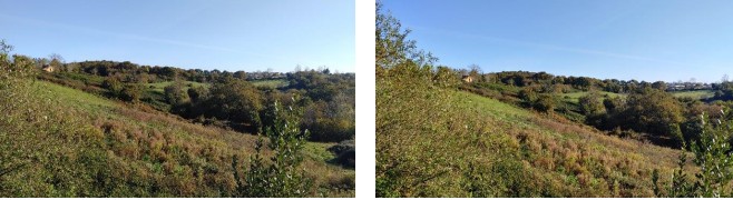 Developable land for sale in finca Pieza de Negrillo