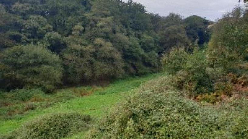 Ground for sale in praje Fonte del Omero, Polig 11 Parc 37