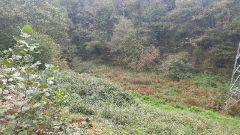 Ground for sale in praje Fonte del Omero, Polig 11 Parc 37