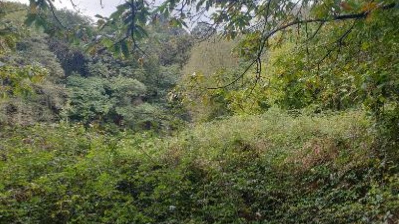 Ground for sale in praje Fonte del Omero, Polig 11 Parc 37