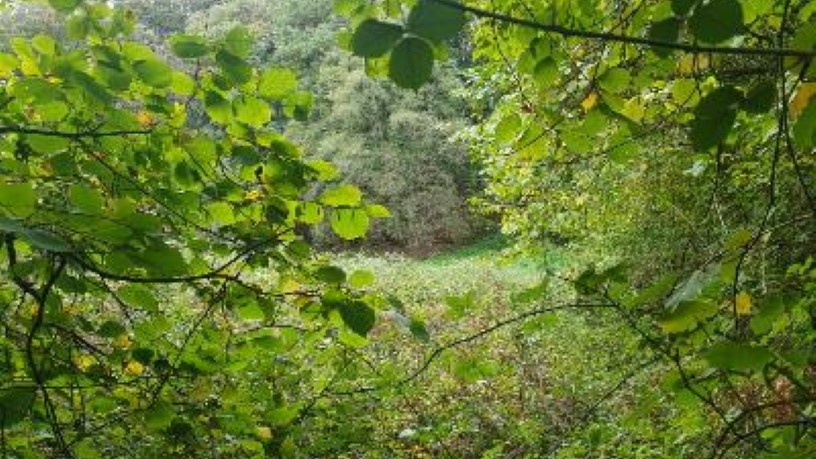 Ground for sale in praje Fonte del Omero, Polig 11 Parc 37