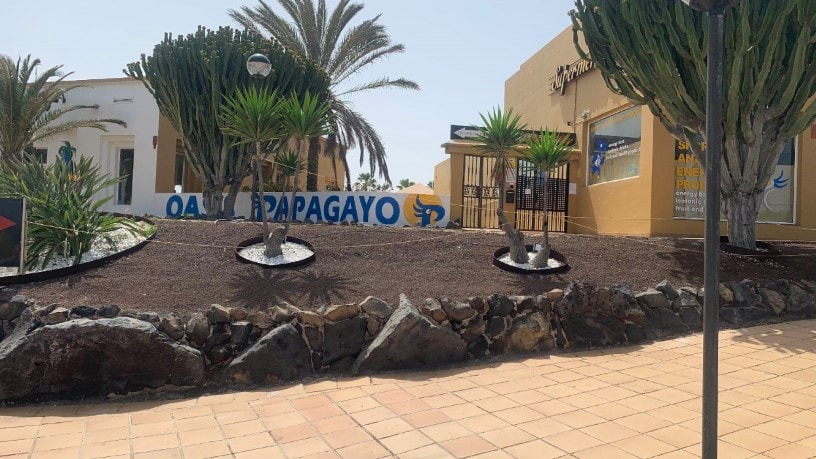 Piso en venta en avda Pedro y Guy Vanderele