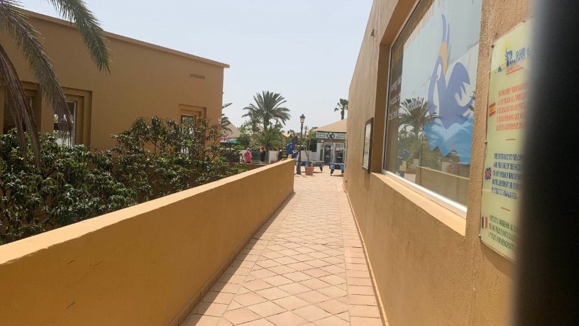 Piso en venta en avda Pedro y Guy Vanderele