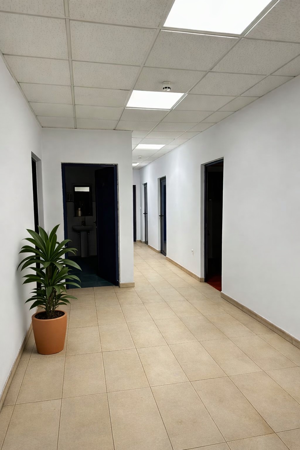 Nave industrial en venta en calle Joaquin Salas