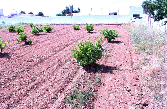Terreno en venta en lugar Las Juncadas