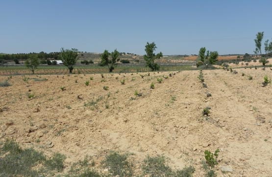 Ground for sale in lugar Peña Quillo