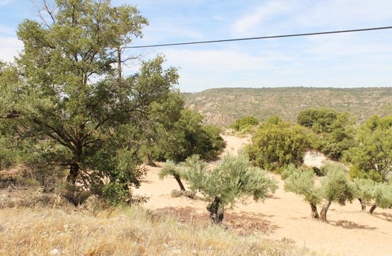 Terreno en venta en lugar Partido Monte Valdeoliva