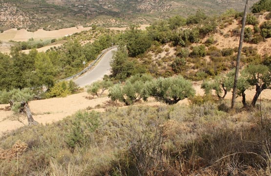 Terreno en venta en lugar Partido Monte Valdeoliva