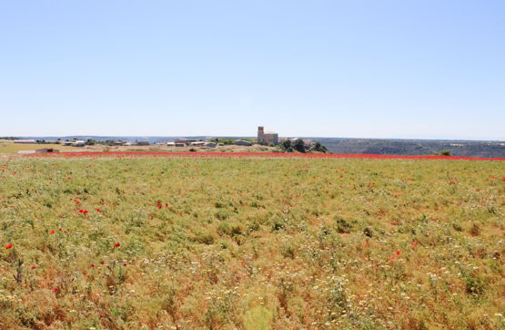 Terreno en venta en lugar Partido Vallejuelo