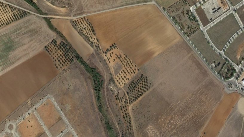 Developable land for sale in  Num. 66 Polg 1.sitio de la Tierra Blanca