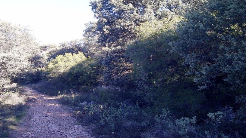 Developable land for sale in urb El Clavin