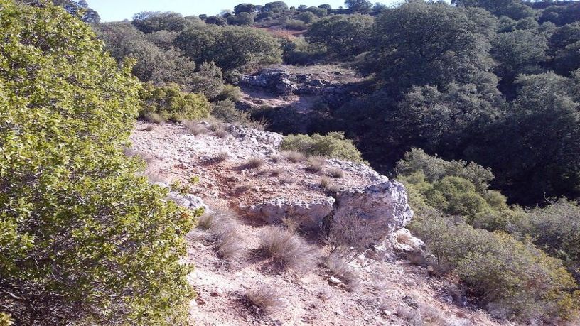 Developable land for sale in urb El Clavin
