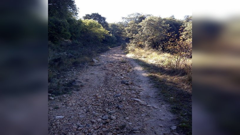 Developable land for sale in urb El Clavin