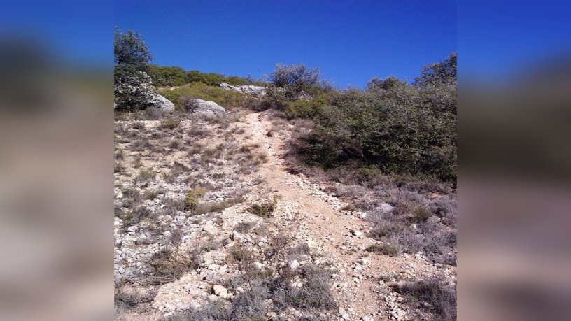 Developable land for sale in urb El Clavin