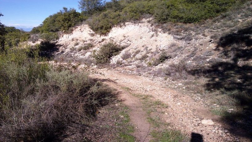 Developable land for sale in urb El Clavin