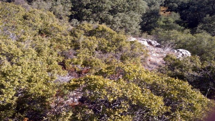Developable land for sale in urb El Clavin