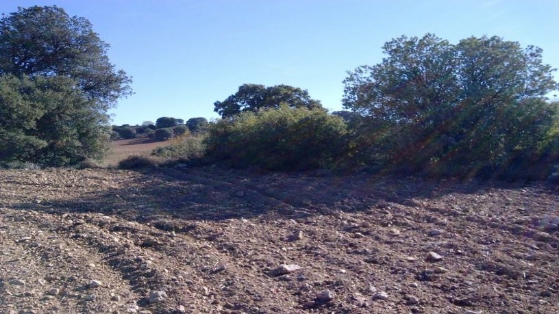 Developable land for sale in urb El Clavin