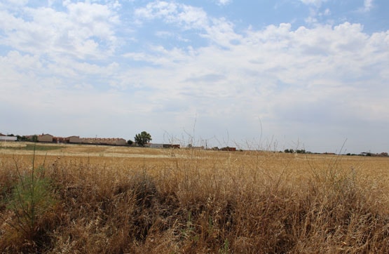 Ground for sale in lugar Camino de las Posturas O Pozuelos