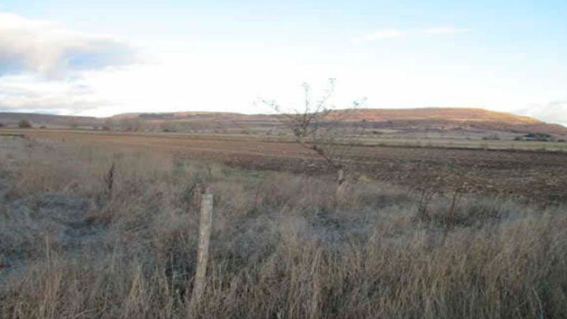 Terreno en venta en ctra De la Seca