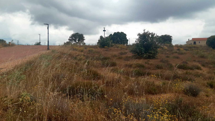 Terreno urbano en calle Maestro Malmierca, Dell, Carrascal de Barregas, Salamanca