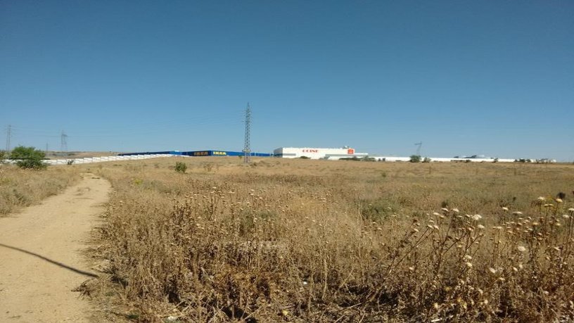 Developable land for sale in  Pago Vega. Polígono 4, Parcela