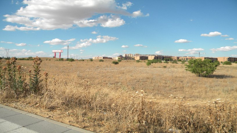Developable land for sale in  Pago Vega. Polígono 4, Parcela