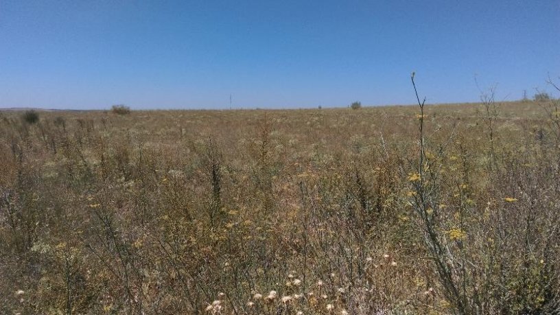 Developable land for sale in sect 09:lobata Suelo P42 P16 0005010 0