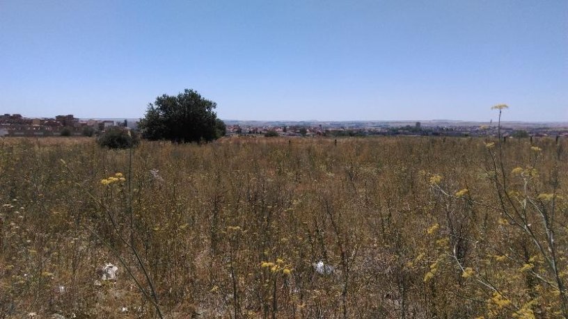 Developable land for sale in sect 09:lobata Suelo P42 P16 0005010 0