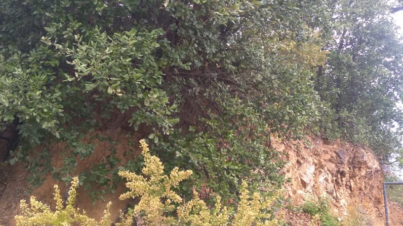 Terreno en venta en calle Cim de la Baronia Urb Baronia de Montseny Prcl 276