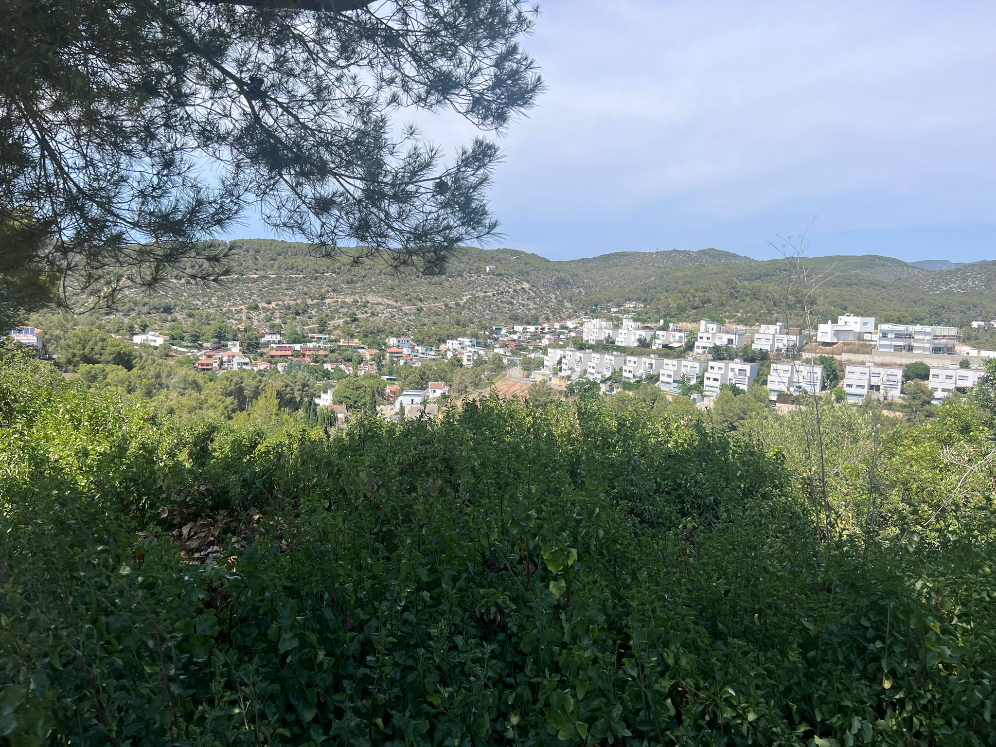 Urban ground for sale in calle De la Plana Novella