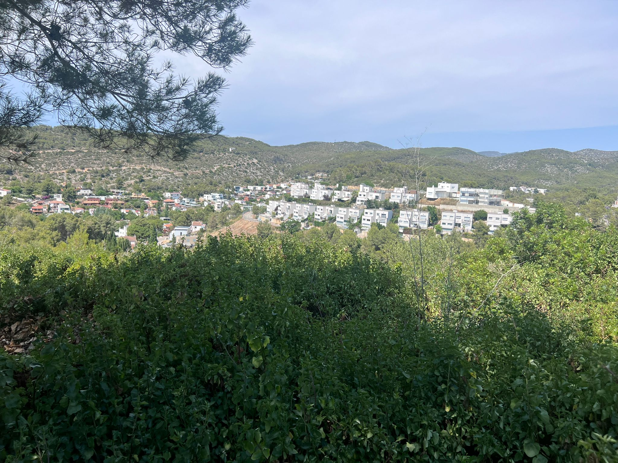 Urban ground for sale in calle De la Plana Novella
