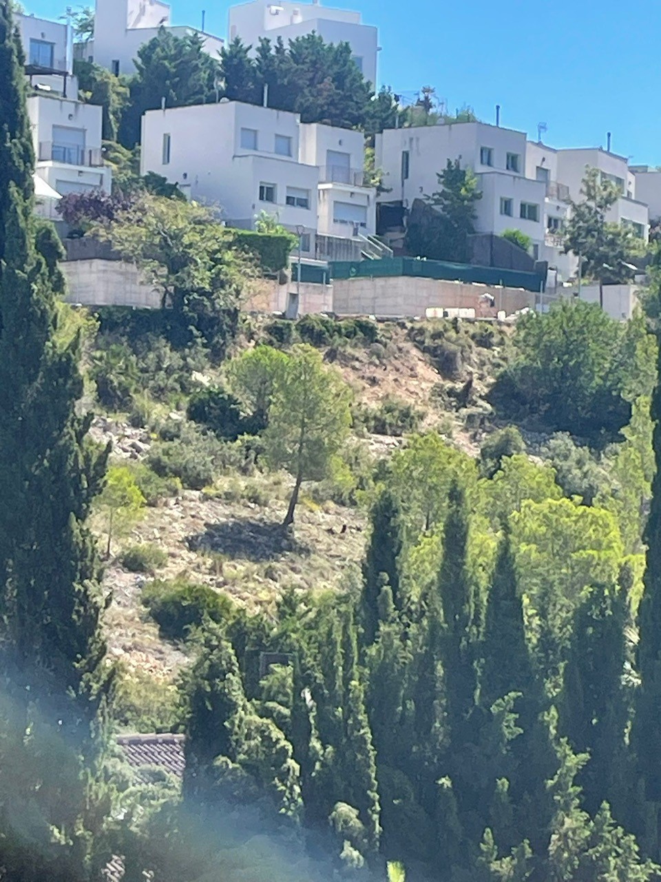 Urban ground for sale in calle Mont Rodo