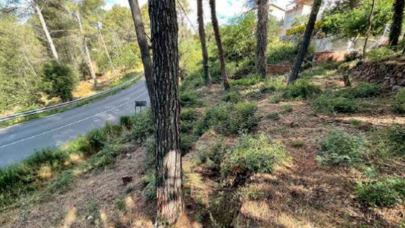 Terrain aménageable à vendre à calle Amunt, de L' (c. Lluis)