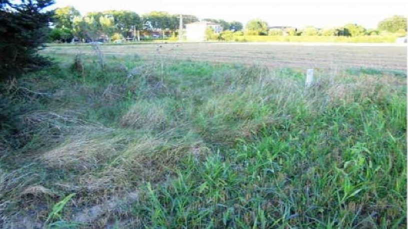 Rustic property for sale in  De Sant Llatzer